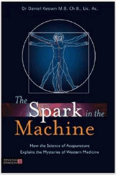 The Spark in the Machine